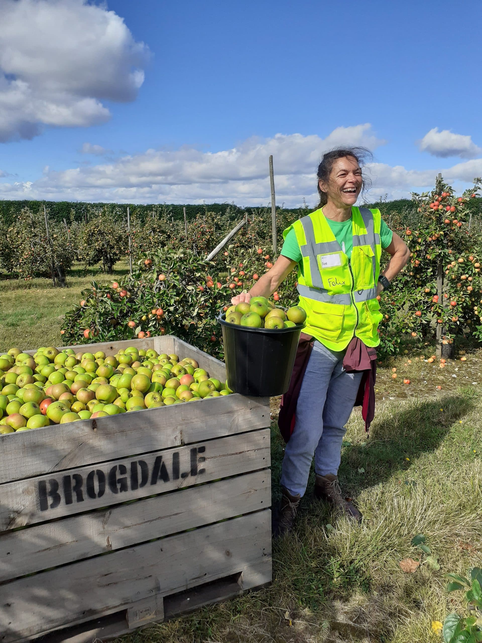A tour guide at Brogdale Collections