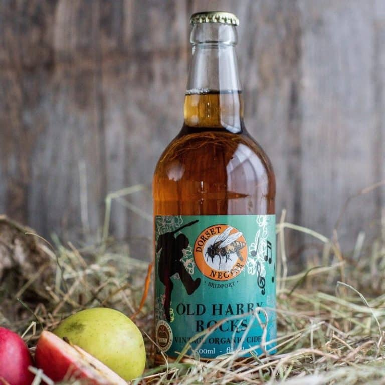 Bottle of Dorset Old Harry Rocks Vintage Organic Cider from Panzer's