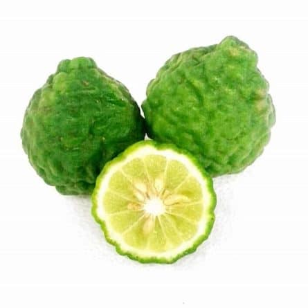 Fresh Kefir Lime from Panzer's