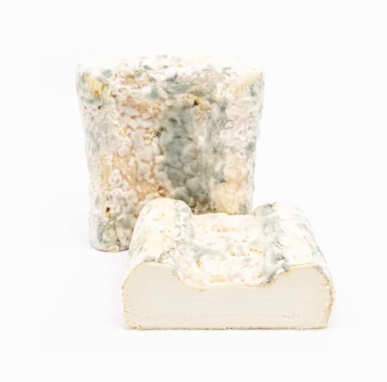 Gabbare Cheese from Panzer's