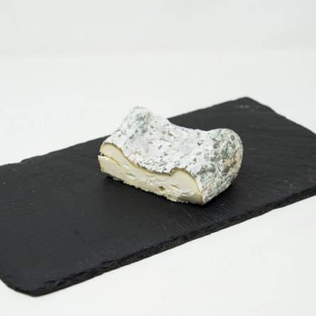Gabarre Cheese from Panzer's Portrait