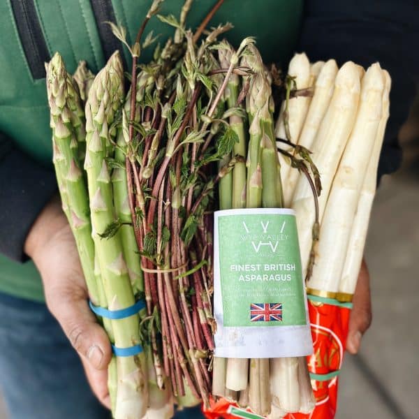 Italian, Wild, White and British asparagus at Panzer's Deli