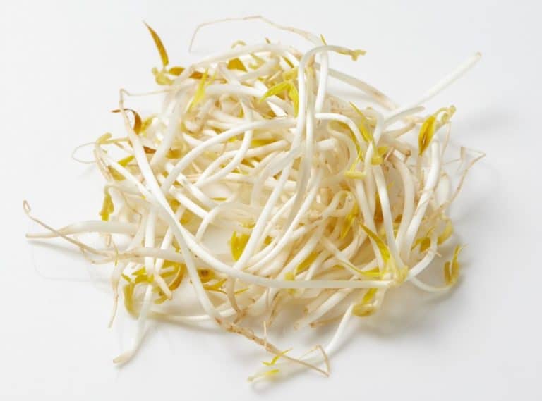 Pack of Fresh Beansprouts from Panzer's