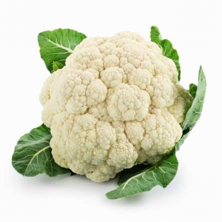 Fresh Cauliflower Head from Panzer's Landscape
