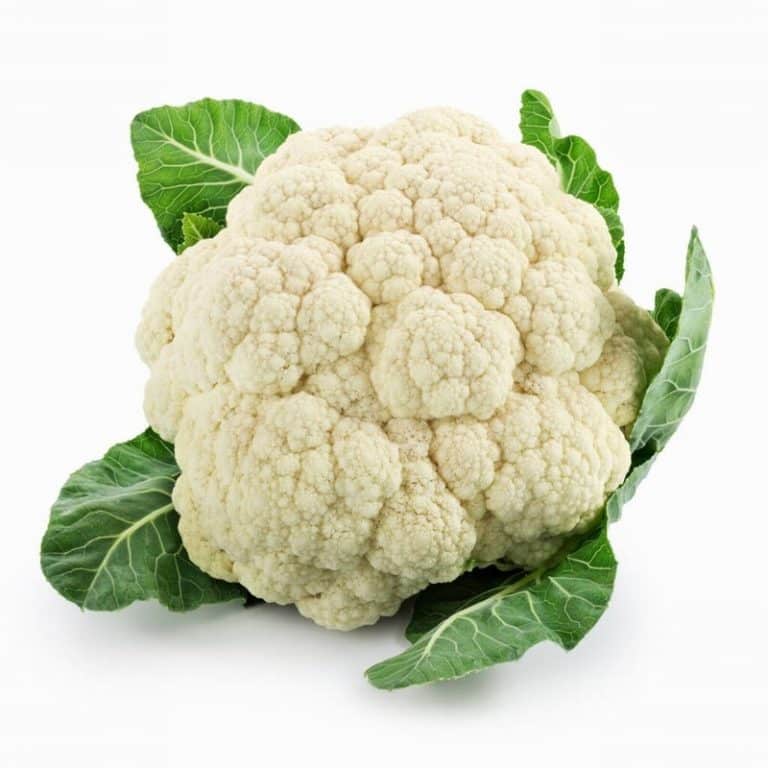 Fresh Cauliflower Head from Panzer's Landscape