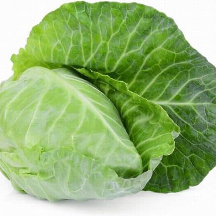 Hispy Cabbagge from Panzer's