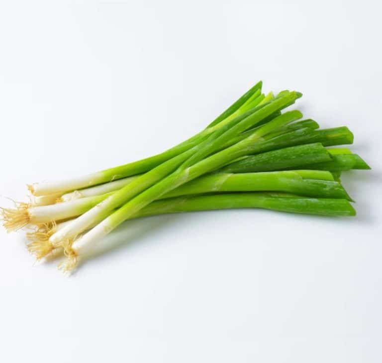 Bunch of Spring Onion from Panzer's