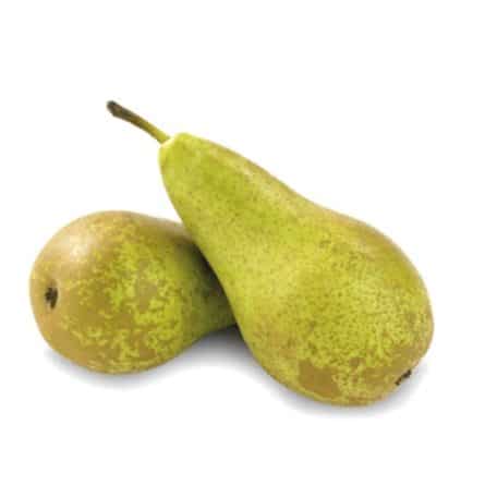 Conference Pear from Panzer's