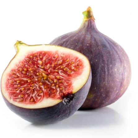 Fig Loose from Panzer's