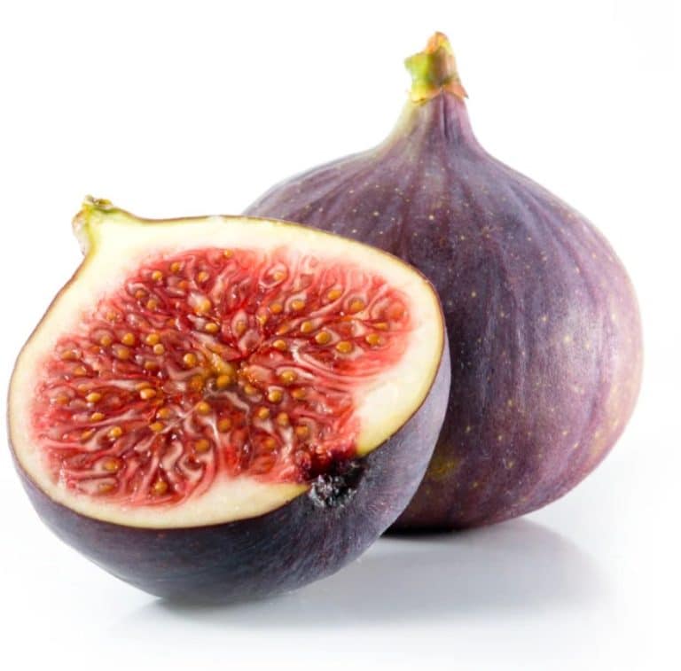 Fig Loose from Panzer's