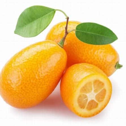 Fresh Kumquat from Panzer's