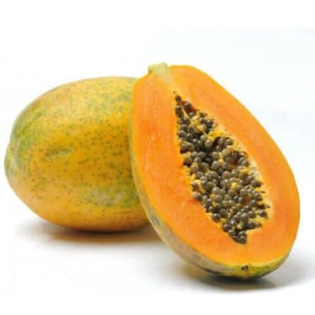 Large Papaya from Panzer's