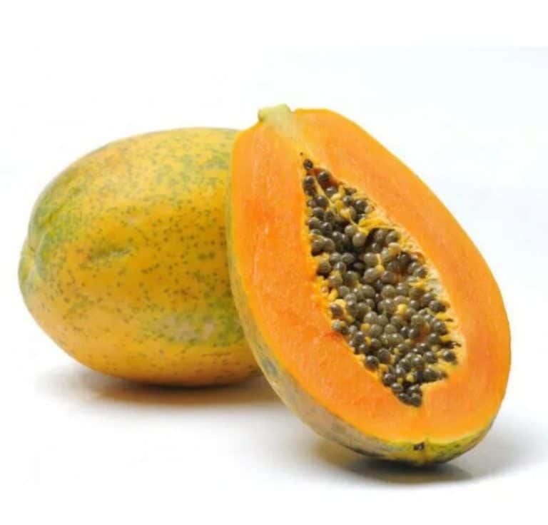 Large Papaya from Panzer's