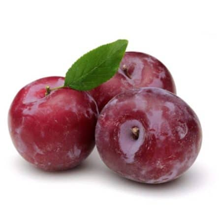 Red plum from Panzer's