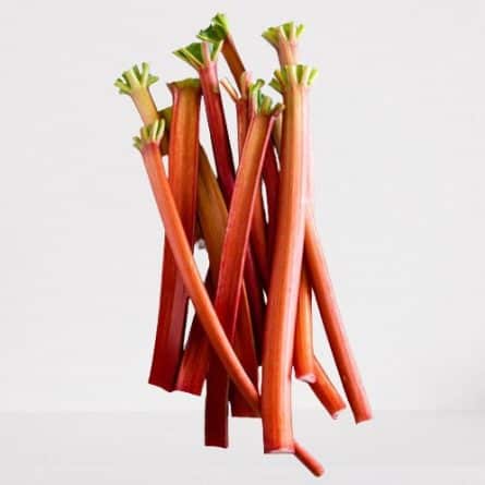 Fresh Rhubarb from Panzer's