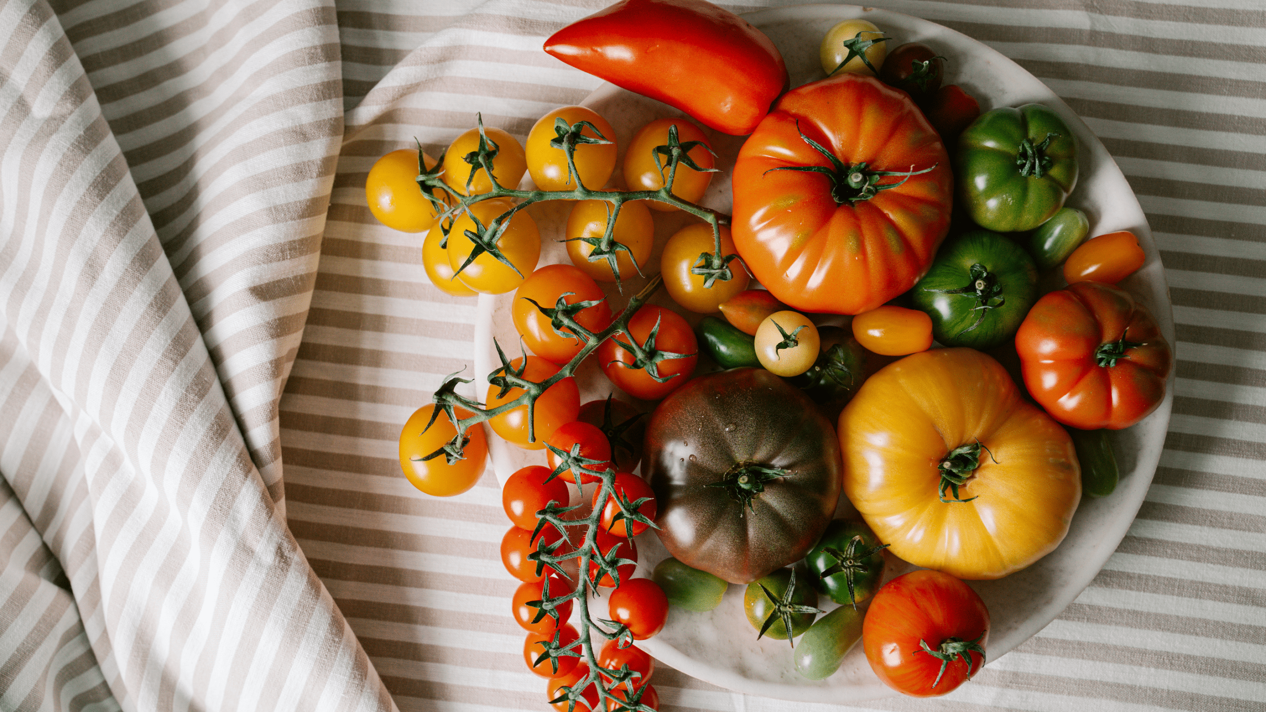 Variety of tomatoes from Panzer's