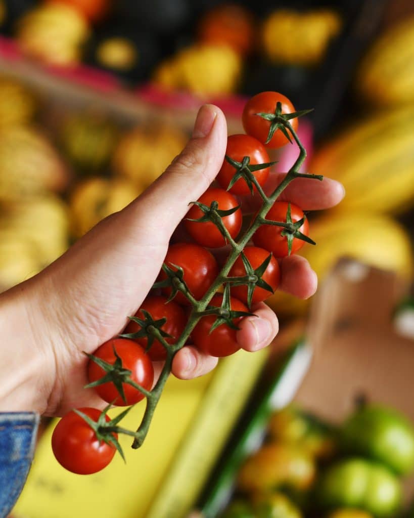 a hand holding a stalk of cherry red tomatoes, with a blurred background of yellow squash and other seasonal vegetables