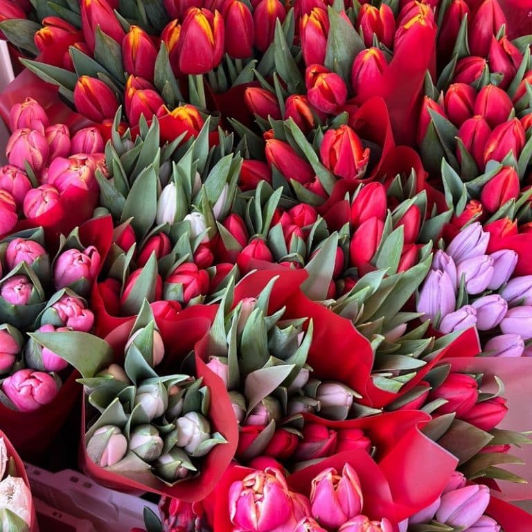 Tulips in a Bunch from Panzer's