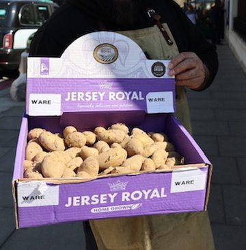 A box of Jersey Royals in the sun held by a Panzer's staff member