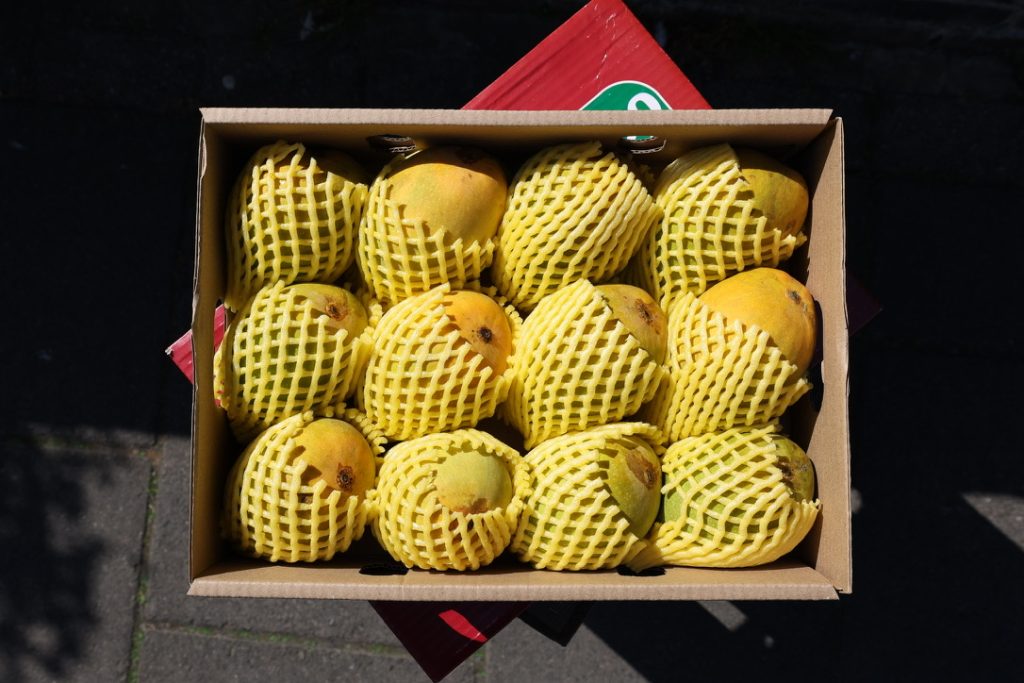 Box of ripe yellow mangoes individually wrapped in protective yellow foam nets, viewed from above in bright natural light.